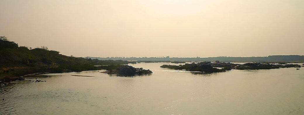 पीपल, पाकड़ जैसे देसी पेड़ों से सुधरेगी नदियों की दशा