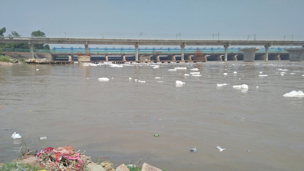 यमुना को प्रदूषणमुक्त करने सात समुंदर पार शुरू हुआ कैंपेन, प्रवासी भारतीयों की पहल