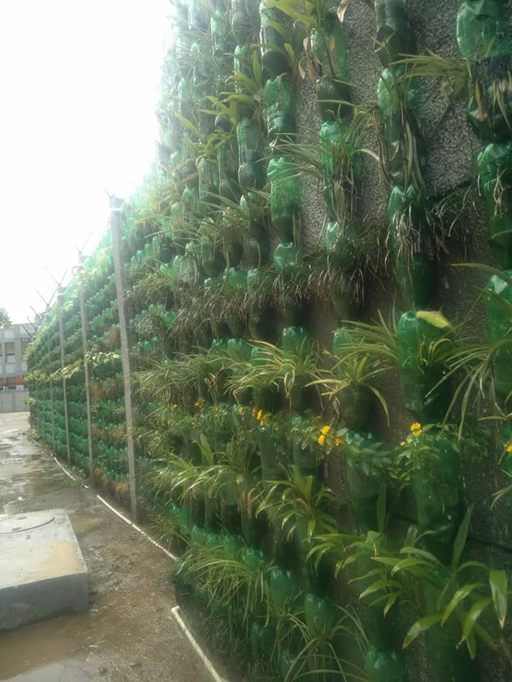 क्या प्लास्टिक की खाली बोतलों से बना ‘वर्टिकल गार्डन’ देखा है आपने !