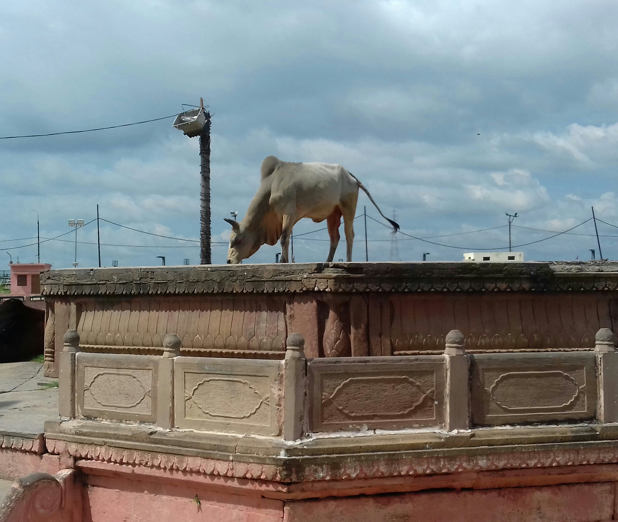 दीपोत्सव व सरयू आरती के बाद अब अयोध्या महोत्सव