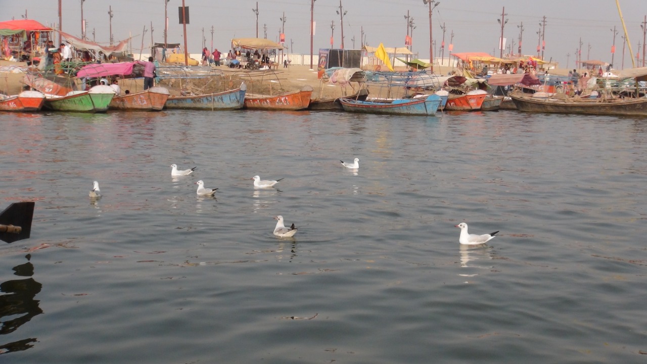 Kumbh