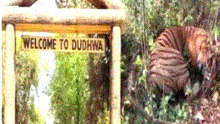Dudhawa